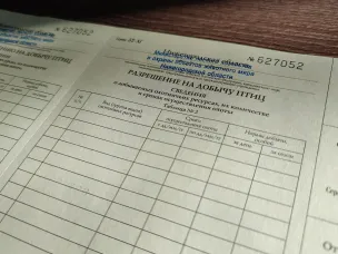 Нижегородский Минлесхоз 20 марта начинает выдавать разрешения на добычу пернатой дичи